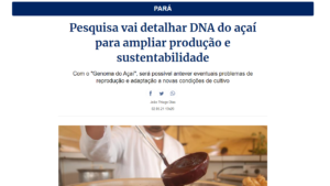 Pesquisa vai detalhar DNA do açaí