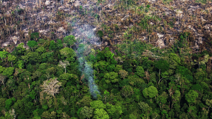 Hoje é o dia da Amazônia – Biotec Amazonia